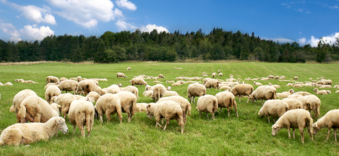 微信圖片_20250609194759